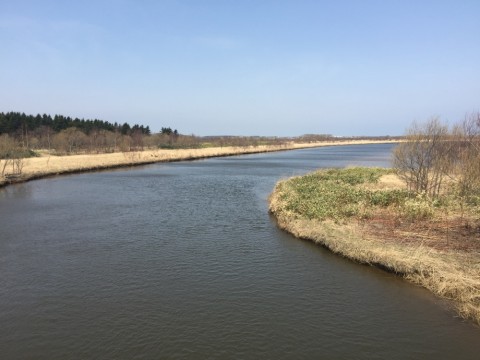 vytrtuhkzyaveibt8bjf_920_690-dafdedf1.jpg