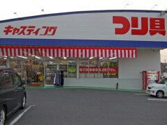 vyz73pgzf62pe47fn3vr_240_180-4eabc8d9.jpg