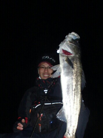 vz2bbop2ak7gmoiv5jc2_355_477-066e8cf3.jpg