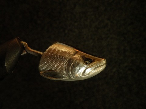 vzbnmz94hhhms4hfmzxu_480_480-6d055673.jpg