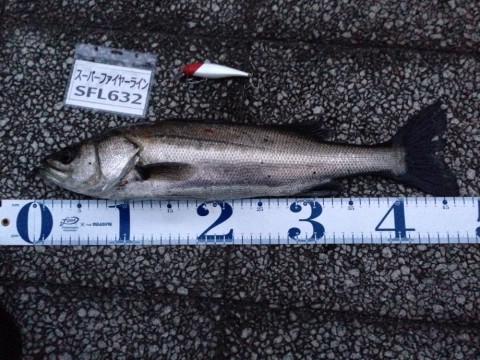 vzvxieduxwk2zuerj596_920_690-abe07986.jpg