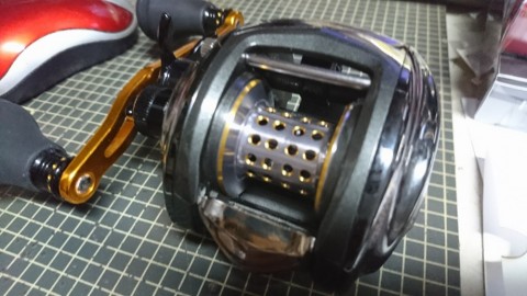 vzzkkocbro26b5t63cu7_480_480-ec5fd7ba.jpg