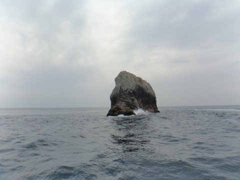 w255byhyhihcft9xd82m_480_480-78479873.jpg