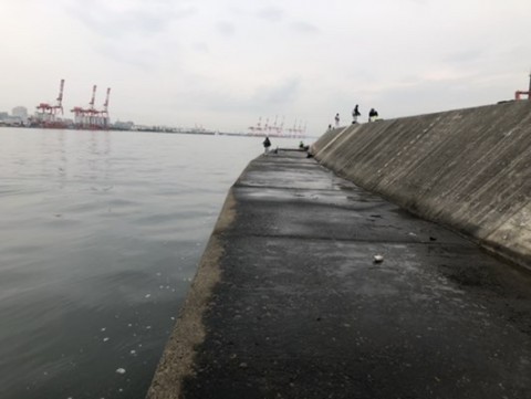 w2xp2s8no87y43ao2szj_480_361-20476912.jpg