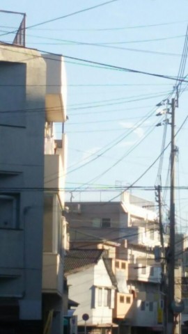 w3muc6teneawhinb76g3_518_920-cf781966.jpg