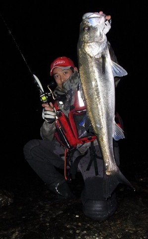 w3ty59cgc6wcjgcd46sg_480_480-56cab5e1.jpg