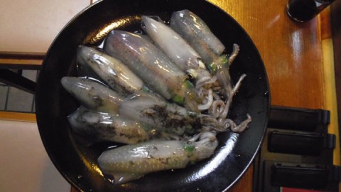 10~14センチ