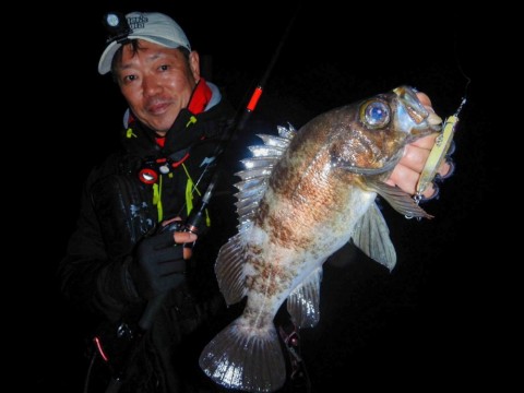 w469tt234nxb4iuv6jp6_480_480-d0b6cc6e.jpg