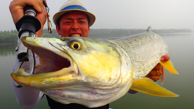 Whose Foods メーターオーバーガンユイ 上海遠征2 3日目 Yellow Cheek In Shanghai