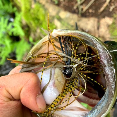 Kan's fishing blog】 ☆AKチャンク/AKラバージグの組み合わせ☆