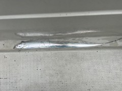 w4w69d3v5dkg35pstexe-d35b13a8.jpg