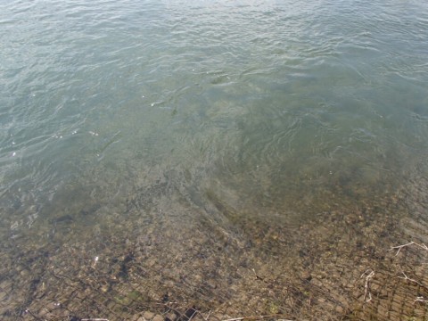 w5835o46gtk76oa5f84v_920_690-1d3b468e.jpg