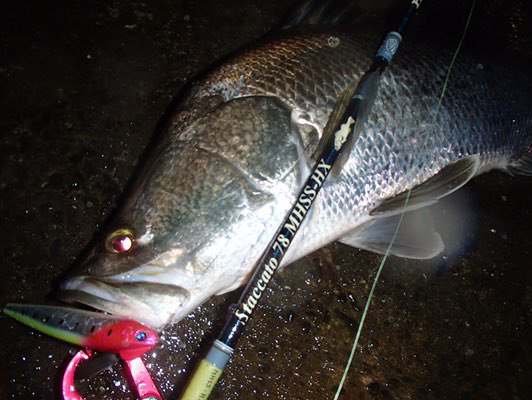 ☆ブログ☆Purple HazeクマVS浦戸湾の釣行記!!】 Tulala