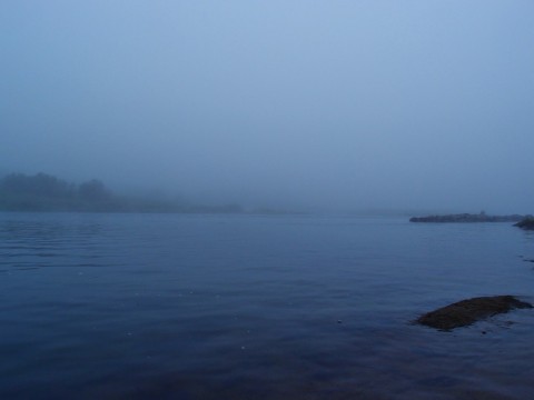 w5ir3e62dwdnzfx4hm4w_480_480-cb8d0c20.jpg