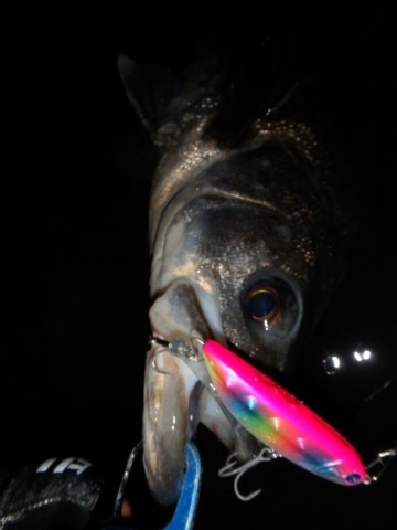 w5twppr2ueboc23imx93_690_920-19f3f813.jpg