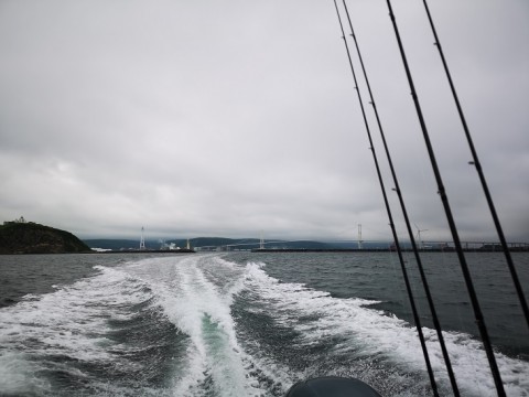 w6isjfietp9yatsxhy8f_480_480-4a078308.jpg