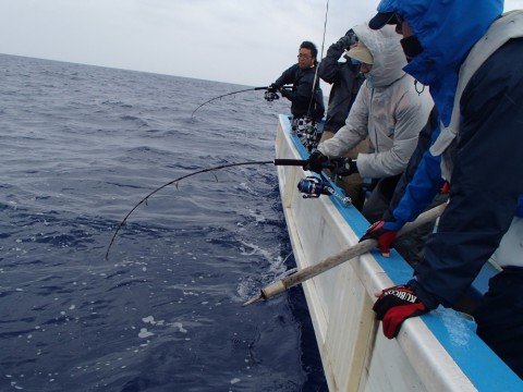 w7bbggd2twsgk3y57in9_480_480-4debc563.jpg