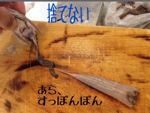 w7pkx8oh75xzr956xmfn_920_690-5c9c5a32.jpg