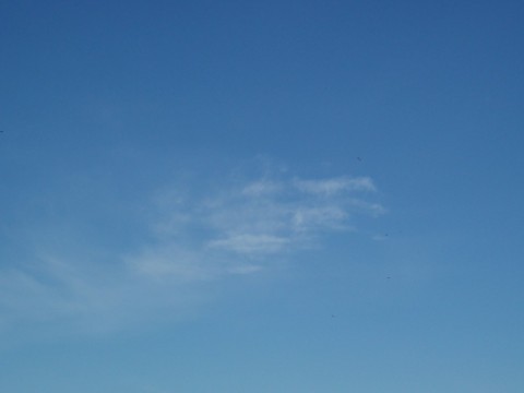 w84jpkkh659de3fwavec_480_480-b48ebf04.jpg