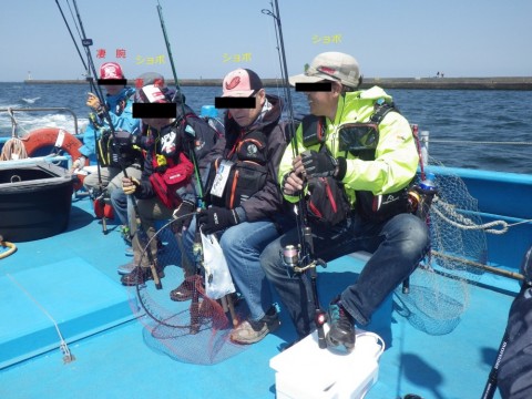 w8ck4xinh4irccjia4j9_480_480-4d3ab64a.jpg