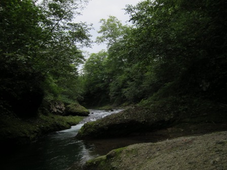 w8kf2x3hb37yn4azmf8j-3c2b82bb.jpg