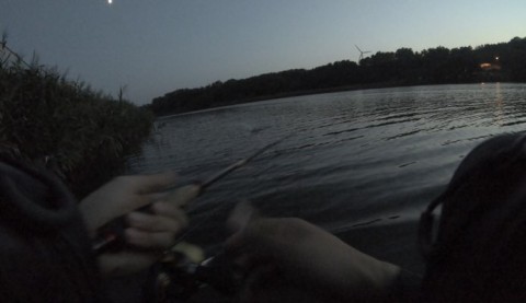 w8mg7nn23oiypn6d5zfs_480_277-6b841498.jpg