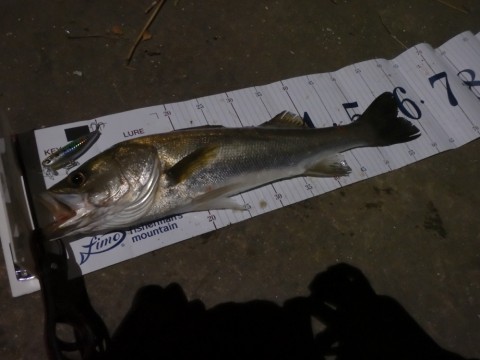 w8pioy97fmtg8m3wu2xc_920_690-1cfed158.jpg