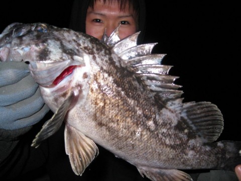 w8vykhuogta6ry2rae36_480_480-5a428944.jpg