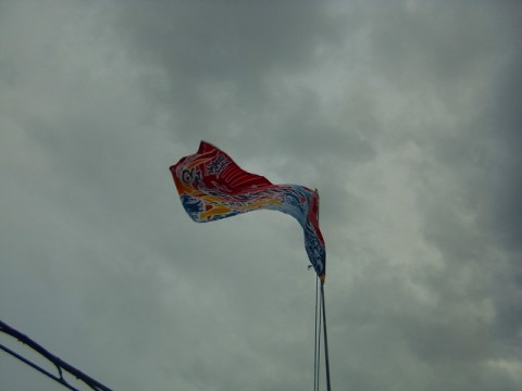 w8ygpcb225v7dwd8hpi7_480_480-05318431.jpg