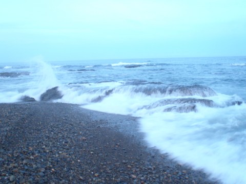 w93hgzv9sskuut55pzxx_480_480-975932a7.jpg