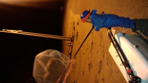 w9d4mk4c83pzh2owzuyh_480_480-17b38e43.jpg