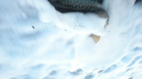 w9tuy7sbjn7mg6h6hoi3_920_518-388c9eae.jpg