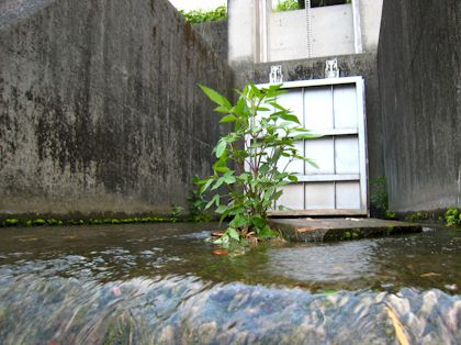 wEHMDYOzOitkFmkSjiin-fba8f3c7.jpg