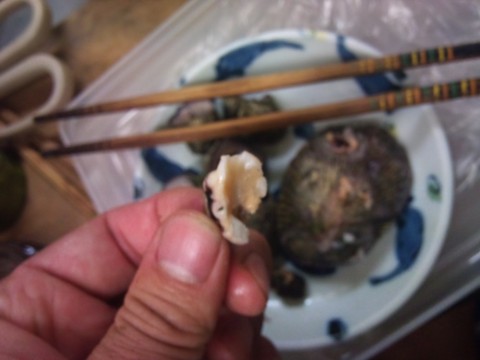 wMPmAbDzFNBPzYXm839X_480_480-2a991c17.jpg
