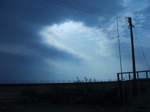 wNK2SUMd4KNSAD7yLDpJ_480_480-547731d3.jpg