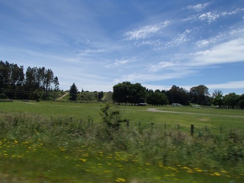 wabs9evmbbzth52e4gej_480_480-8be1af68.jpg