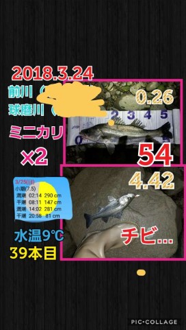 wah6couwxs6dkeoh2yko_480_480-dc0ed145.jpg