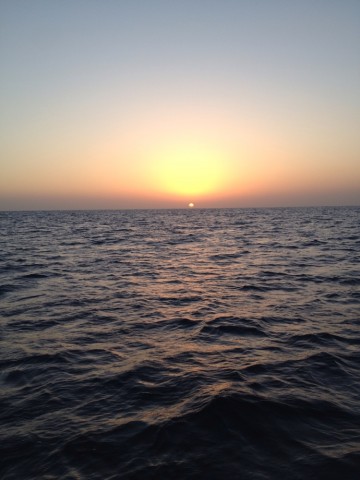 wahjrkz7ehjzfkj6bm84_690_920-ddf9c80d.jpg