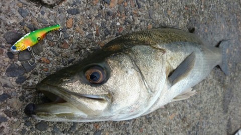 waj6852o94d65ijxajie_920_518-367d6e36.jpg
