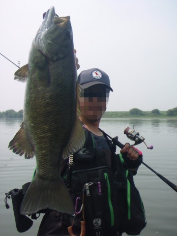 wajscmok4nipynpwvt4r_480_480-48d549f1.jpg