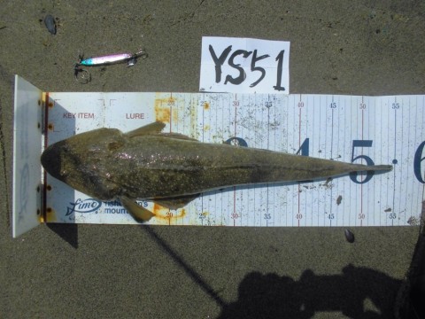 wak9v3rd3uv8rkkzfpvk_920_690-90875cc0.jpg