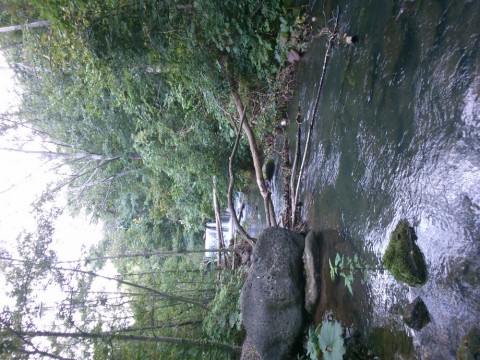 waowscgfavny84nrk3gd_920_690-ba0e7649.jpg