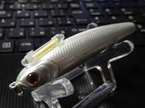 wb2bjbigwar9i9hmpsu9_480_480-b379c1d1.jpg