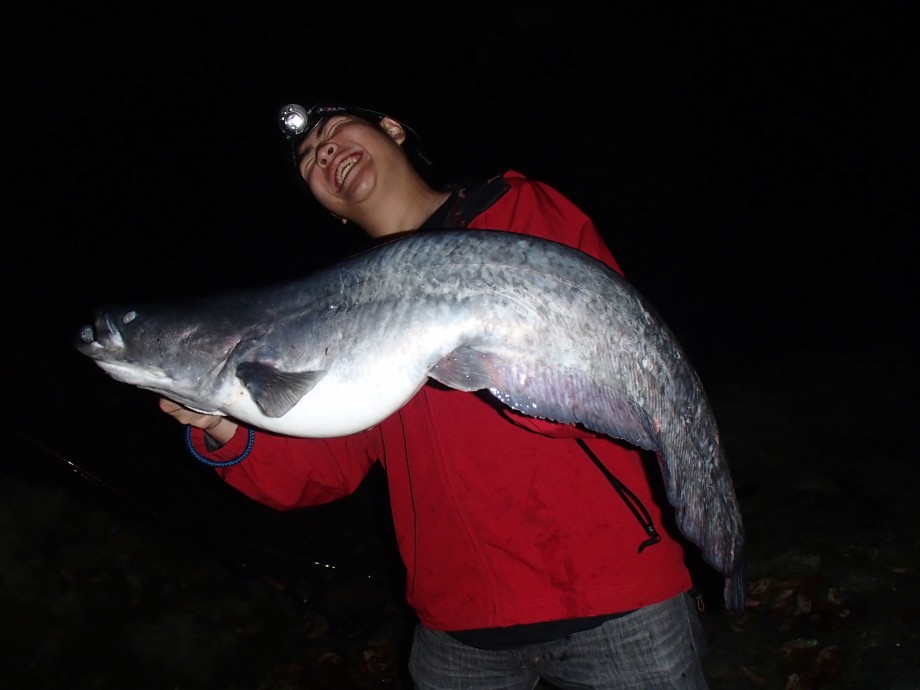 Chillなさかなをさがして】 琵琶湖オオナマズ釣獲！！