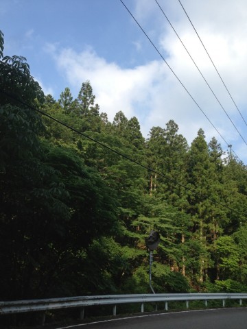 wb7uwkphro6e7s2b3ju9_690_920-5076f7e0.jpg