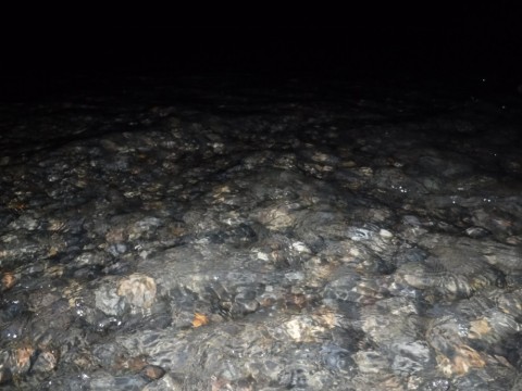 wba8vr7yzuybsxy7i37z_480_480-eaec0826.jpg