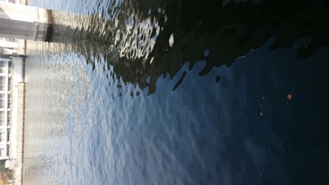 wbircfcsaw6yivgsz49e_920_518-e56a66f4.jpg