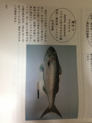wbj7pkmdey4mkmtr932z_690_920-6c9337ee.jpg