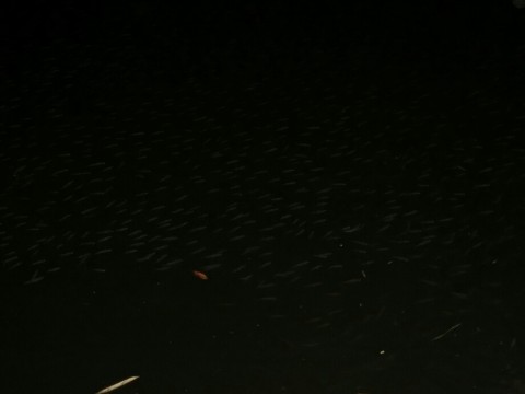 wbmdvk3oxagyuz4pnvmr_920_690-d12f5045.jpg