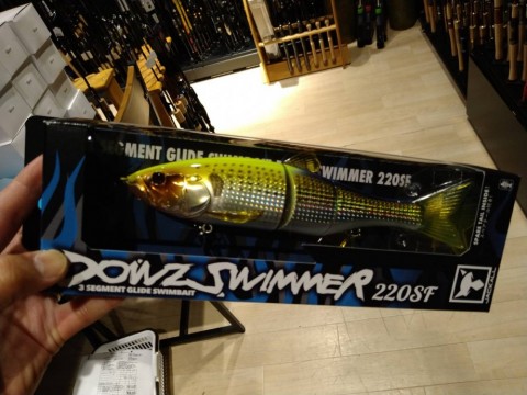 wbny8rzhx5k2mogo2ijs_480_480-cbde7f5e.jpg